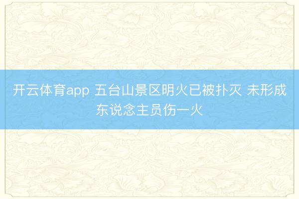 开云体育app 五台山景区明火已被扑灭 未形成东说念主员伤一火