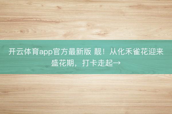 开云体育app官方最新版 靓！从化禾雀花迎来盛花期，打卡走起→
