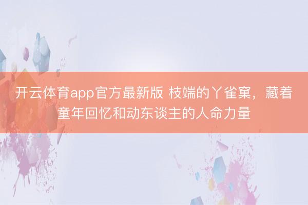 开云体育app官方最新版 枝端的丫雀窠，藏着童年回忆和动东谈主的人命力量