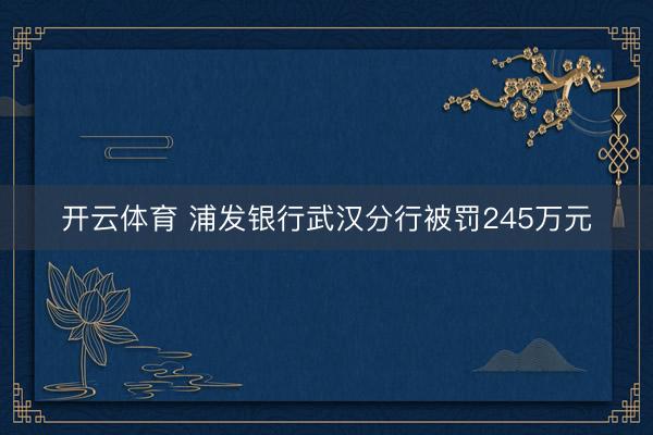 开云体育 浦发银行武汉分行被罚245万元