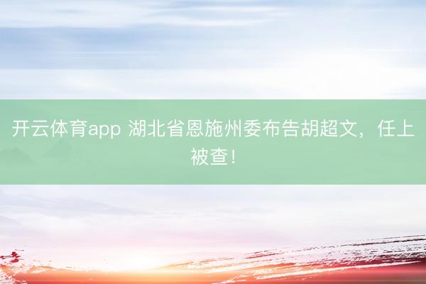 开云体育app 湖北省恩施州委布告胡超文，任上被查！