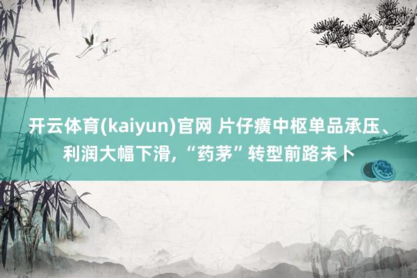 开云体育(kaiyun)官网 片仔癀中枢单品承压、利润大幅下滑, “药茅”转型前路未卜