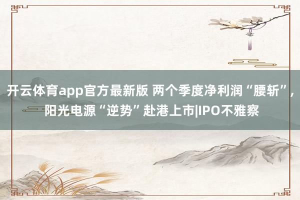 开云体育app官方最新版 两个季度净利润“腰斩”, 阳光电源“逆势”赴港上市|IPO不雅察