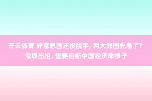开云体育 好意思国还没脱手, 两大邻国先急了? 俄顷出招, 誓要掐断中国经济命根子