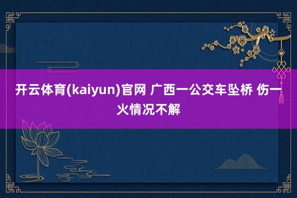 开云体育(kaiyun)官网 广西一公交车坠桥 伤一火情况不解