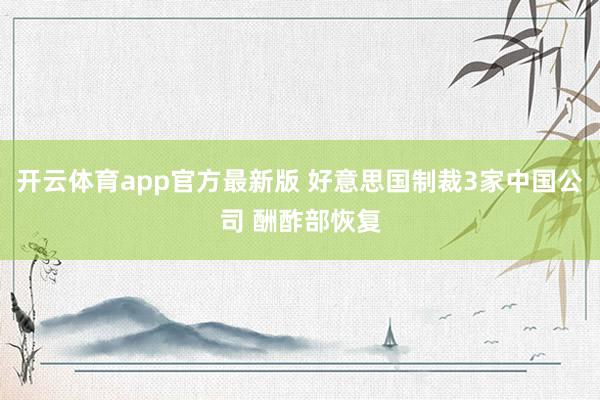 开云体育app官方最新版 好意思国制裁3家中国公司 酬酢部恢复