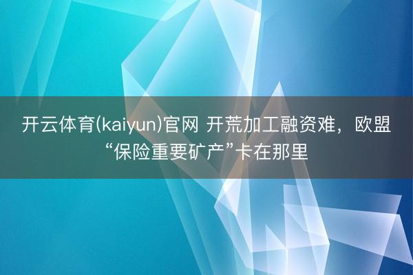 开云体育(kaiyun)官网 开荒加工融资难,欧盟“保险重要矿产”卡在那里