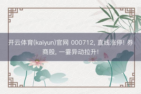 开云体育(kaiyun)官网 000712， 直线涨停! 券商股， 一霎异动拉升!