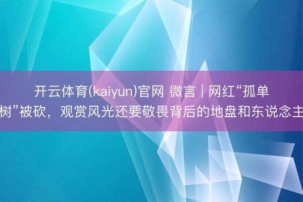 开云体育(kaiyun)官网 微言 | 网红“孤单树”被砍,观赏风光还要敬畏背后的地盘和东说念主