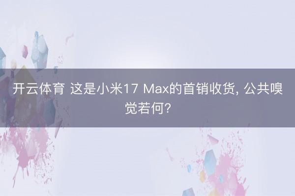 开云体育 这是小米17 Max的首销收货, 公共嗅觉若何?