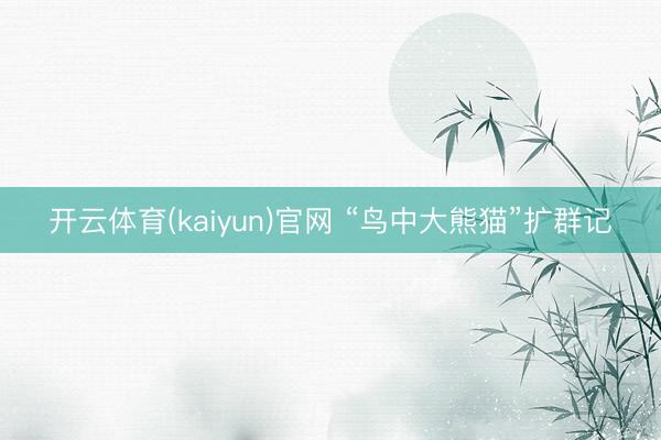 开云体育(kaiyun)官网 “鸟中大熊猫”扩群记